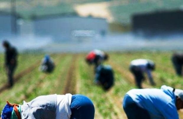 Ancora lavoratori in nero nei campi: la denuncia del presidio permanente di Castelnuovo Scrivia