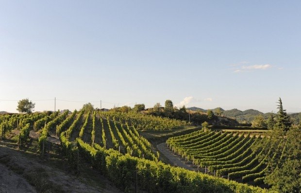 I paesaggi vitivinicoli della provincia di Alessandria protagonisti su Linea Verde