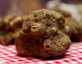 Il profumo di tartufo inebria la domenica. Ma non dimenticate i ceci e i tanti eventi