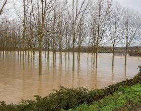 La Cia invoca il sostegno delle Istituzioni per le aziende agricole colpite dalla piena dei fiumi