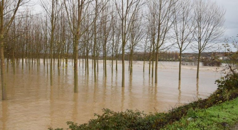 La Cia invoca il sostegno delle Istituzioni per le aziende agricole colpite dalla piena dei fiumi