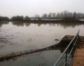 La situazione dei fiumi in provincia (mercoledì mattina)