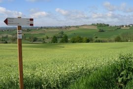 Alla scoperta dei luoghi del tartufo con “Camminare il Monferrato”
