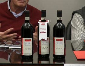 Ovada mon amour: i produttori di Ovada Docg e i ristoratori insieme per promuovere l’Alto Monferrato