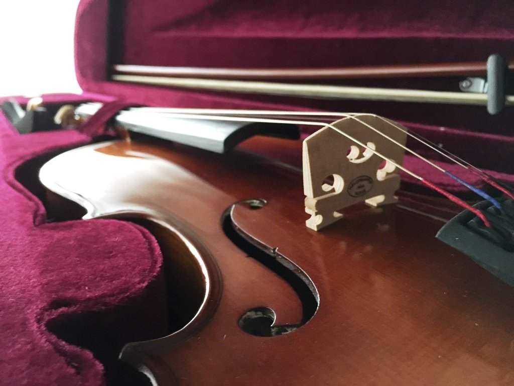Un violino rubato, un ragazzo disperato e un finale inaspettato: la musicale bellezza di Alessandria