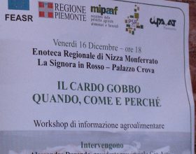 Agricoltura: tutto il buono dei cardi gobbi di Nizza Monferrato