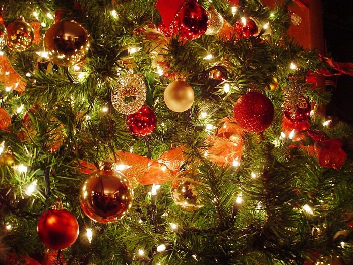 Nella notte rubano l’albero di Natale di tre commercianti
