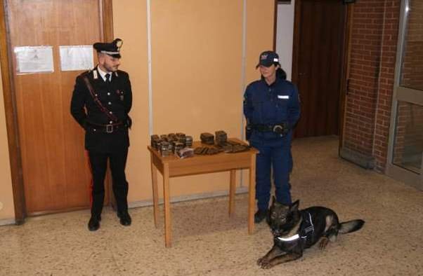 I Carabinieri sequestrano nove chili di hashish grazie al fiuto del cane Fox