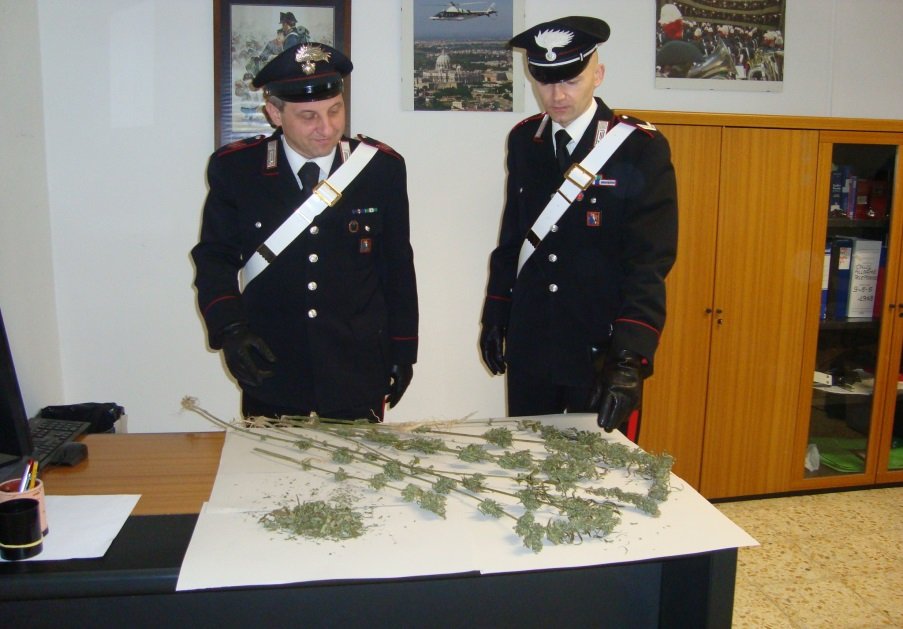 In casa otto piantine di marijuana: denunciati dai Carabinieri