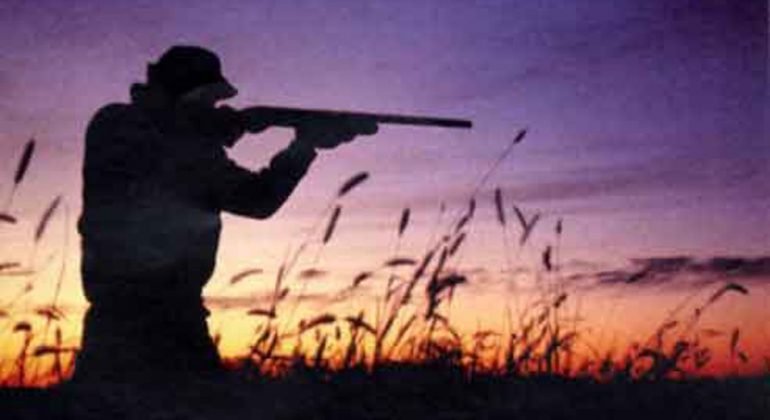 Peste suina: divieto di caccia esteso ad altri Comuni fuori dalla zona infetta, ecco quali