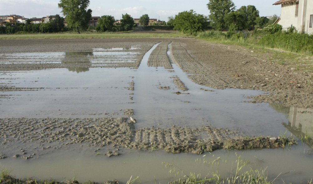 Maltempo: oltre 47 milioni di euro di danni alle aziende agricole del Piemonte