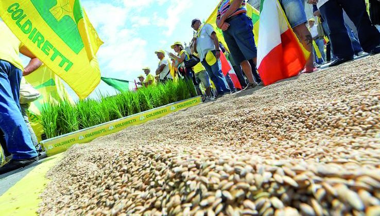 Coldiretti chiede l’etichettatura obbligatoria per tutelare i produttori di riso