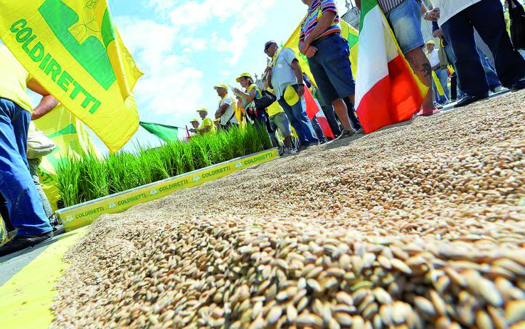 Coldiretti chiede l’etichettatura obbligatoria per tutelare i produttori di riso