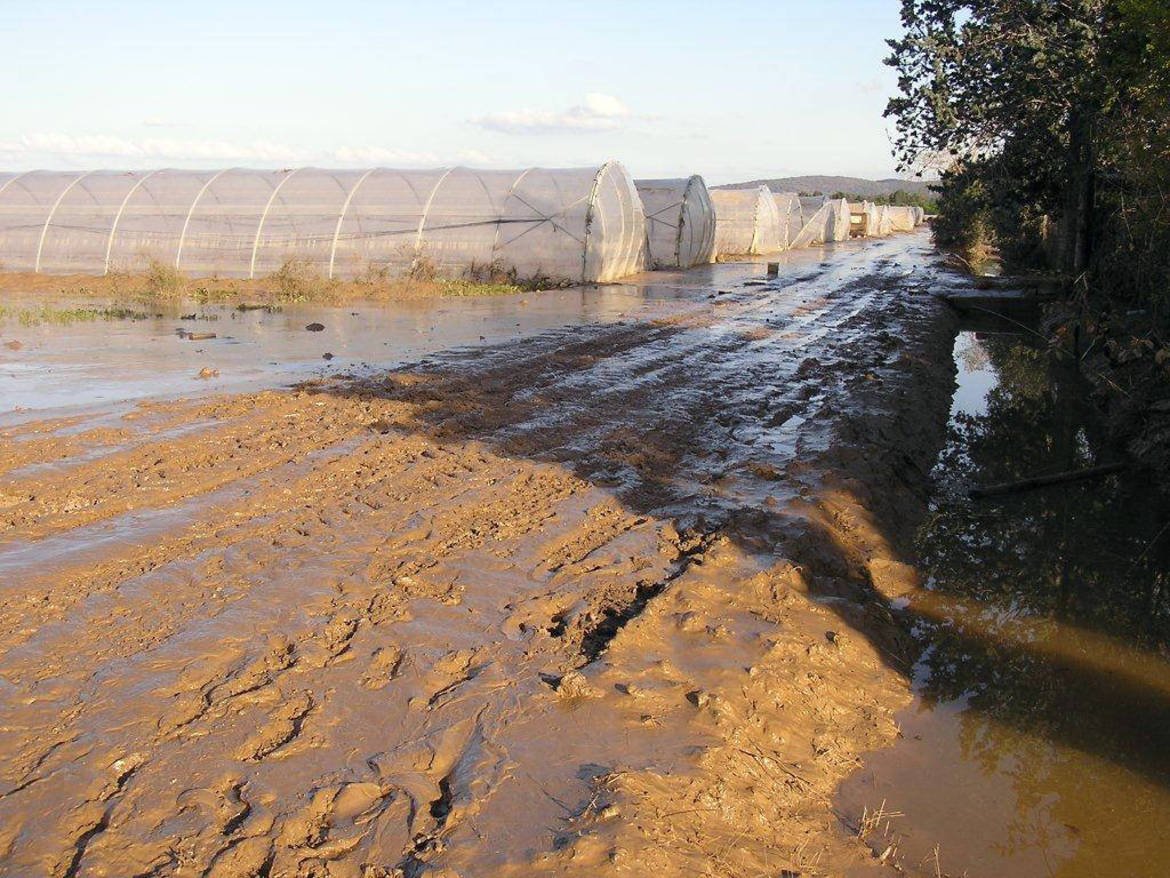 Alluvione: la Regione anticipa 300 mila euro per i danni alle serre