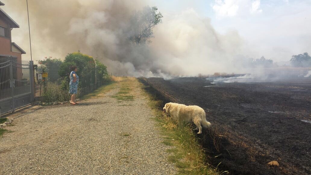 Incendio in un campo di grano a San Giuliano