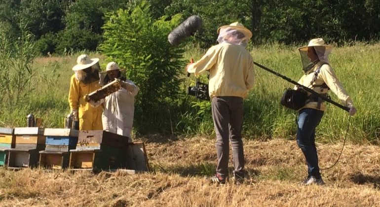Bee my job: un cortometraggio su integrazione e rispetto della natura