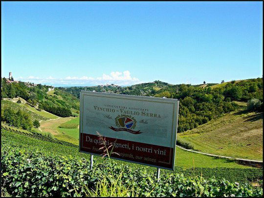 La cantina di Vinchio celebra i 30 anni di Barbera Docg con due giorni di festa