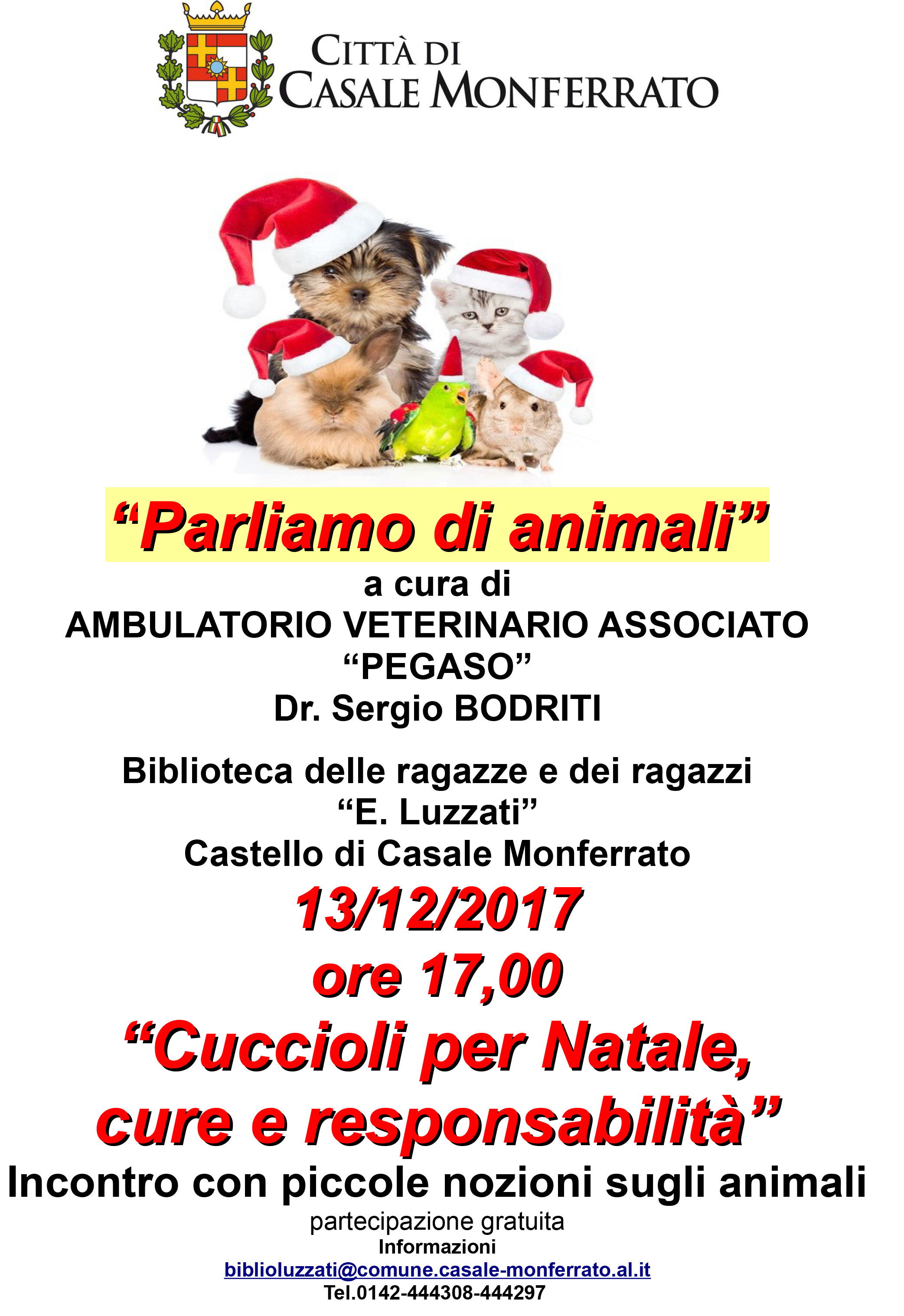 Cuccioli per Natale, cure e responsabilità