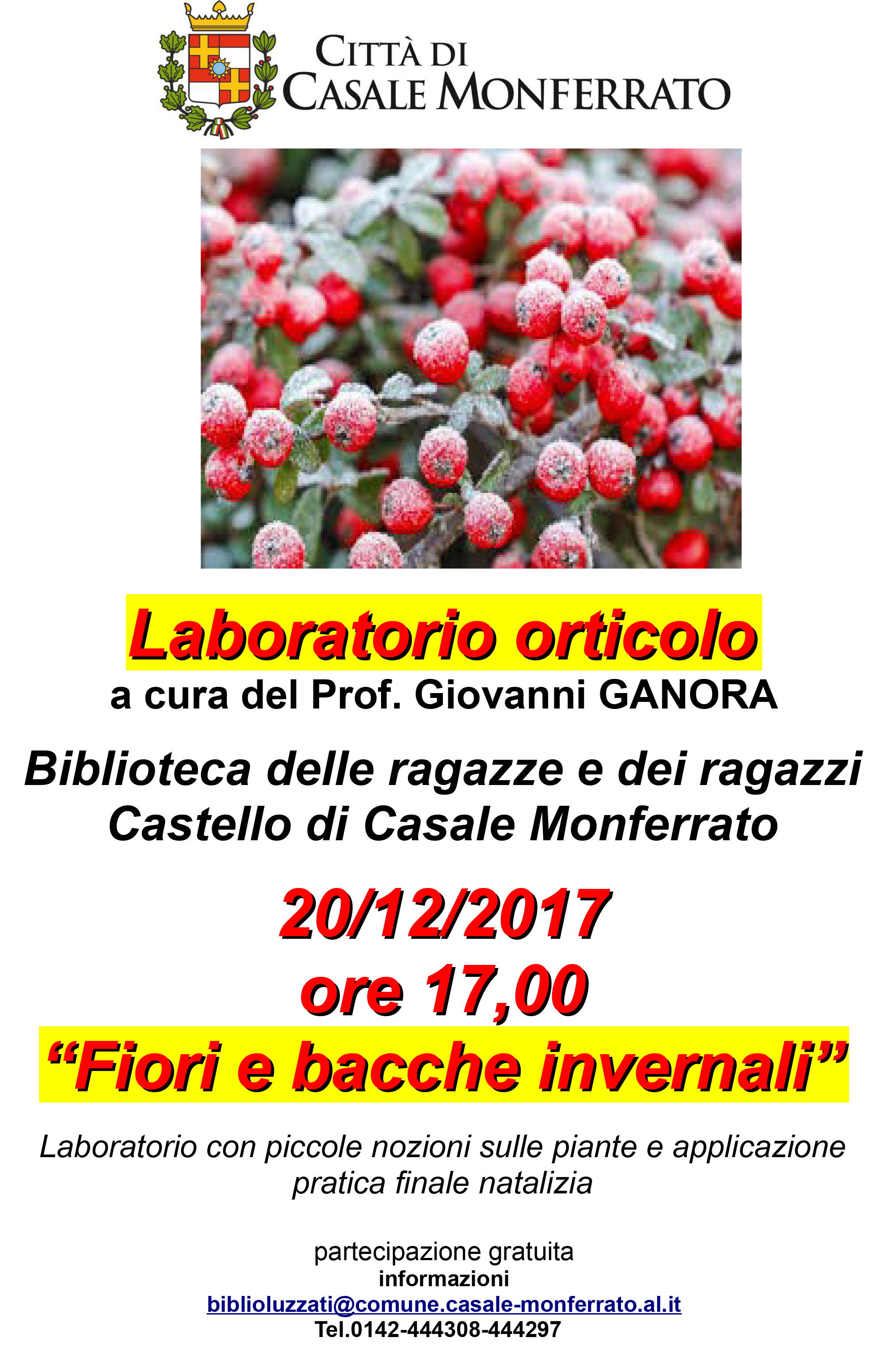 Fiori e bacche invernali