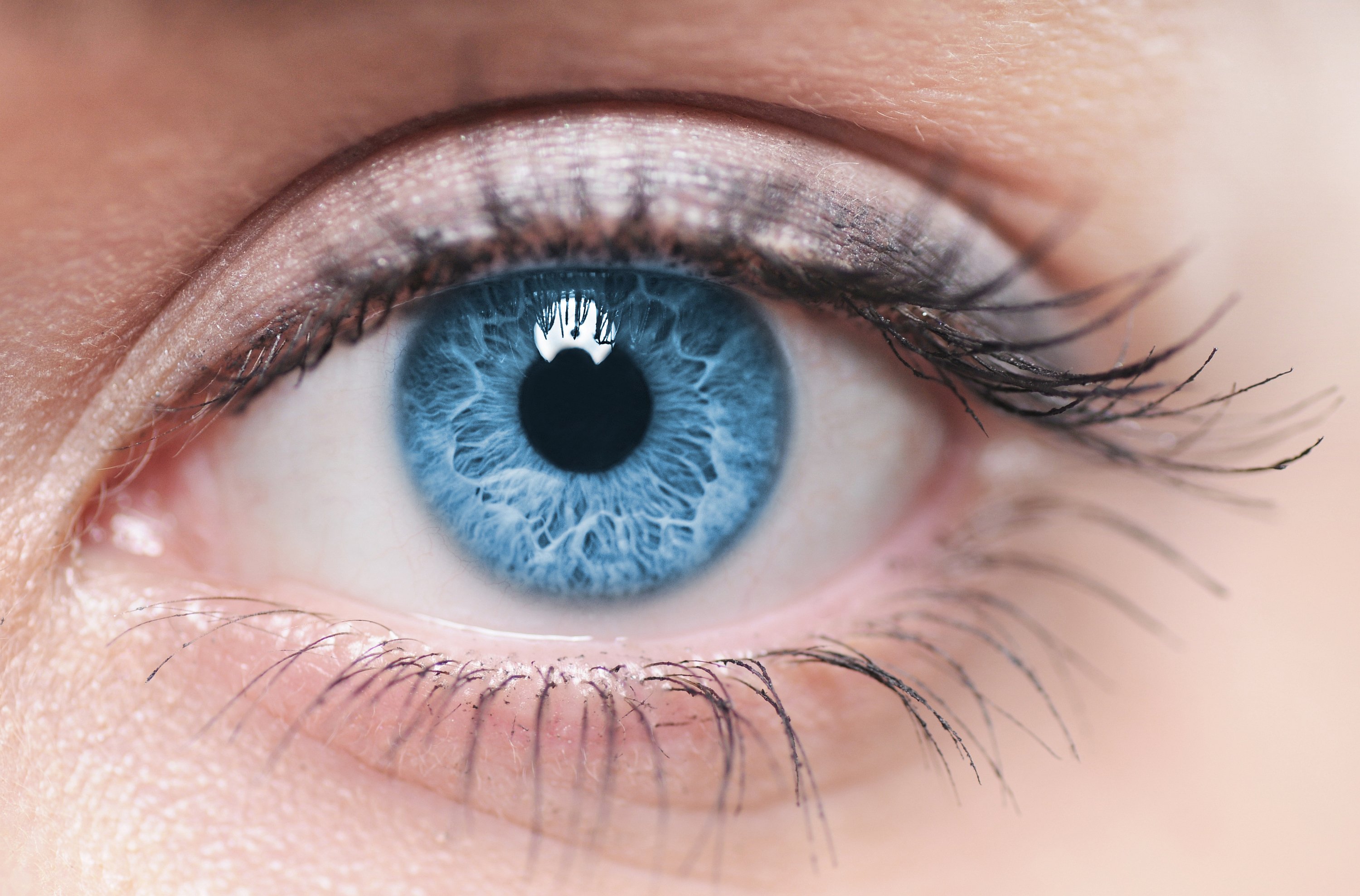 Prevenire il glaucoma: tanti appuntamenti con l’Unione ciechi di Alessandria