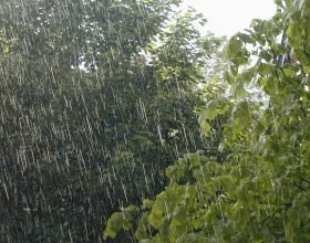 Coldiretti: pioggia e neve “una manna” per gli assetati campi