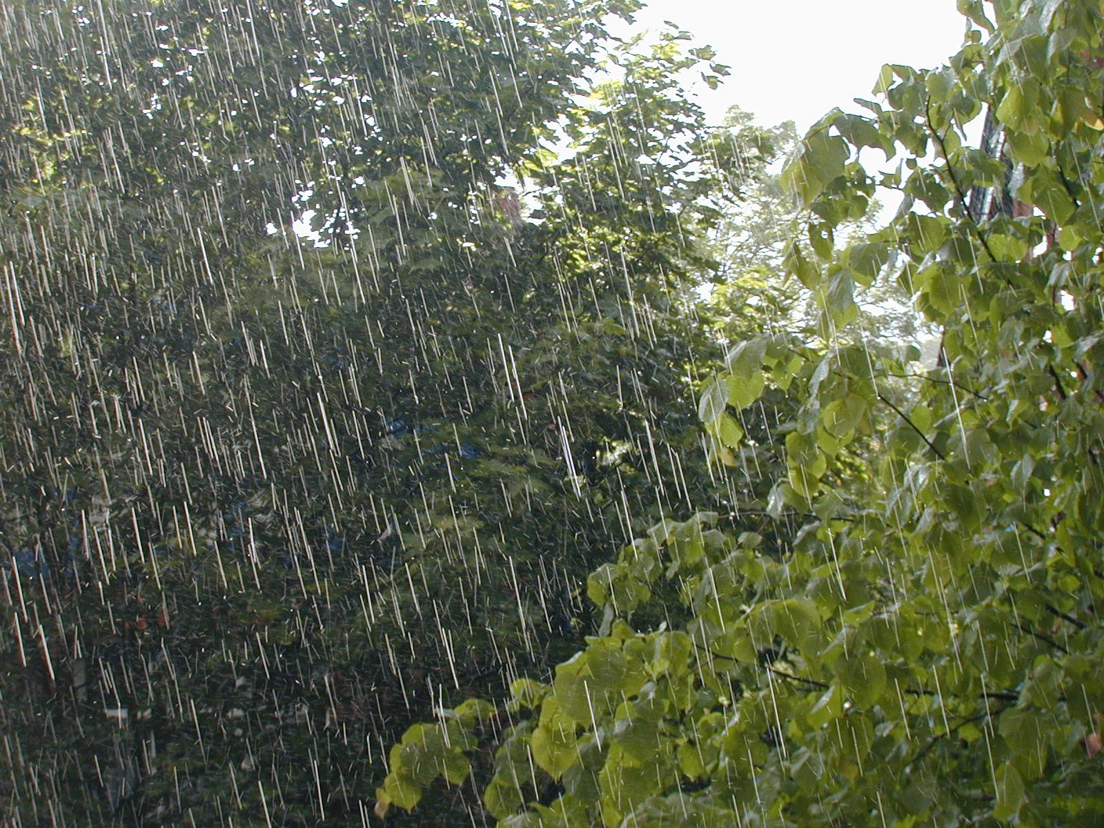 Nuovi piogge e temporali nella serata di questo martedì 26 luglio