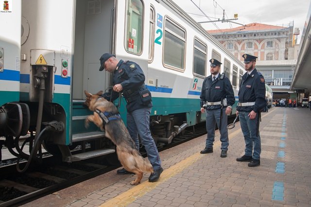 Fiuto cane poliziotto aiuta Polfer a scovare 40 grammi marijuana