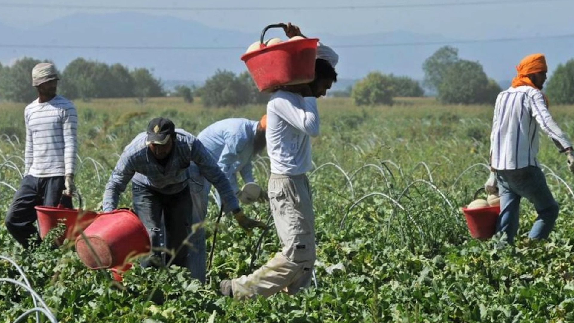 Agricoltura e Immigrazione: la Regione dice sì alle proposte Cgil
