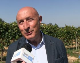 Vendemmia: “Buona annata”. Record 3 bicchieri Gambero Rosso a 10 aziende