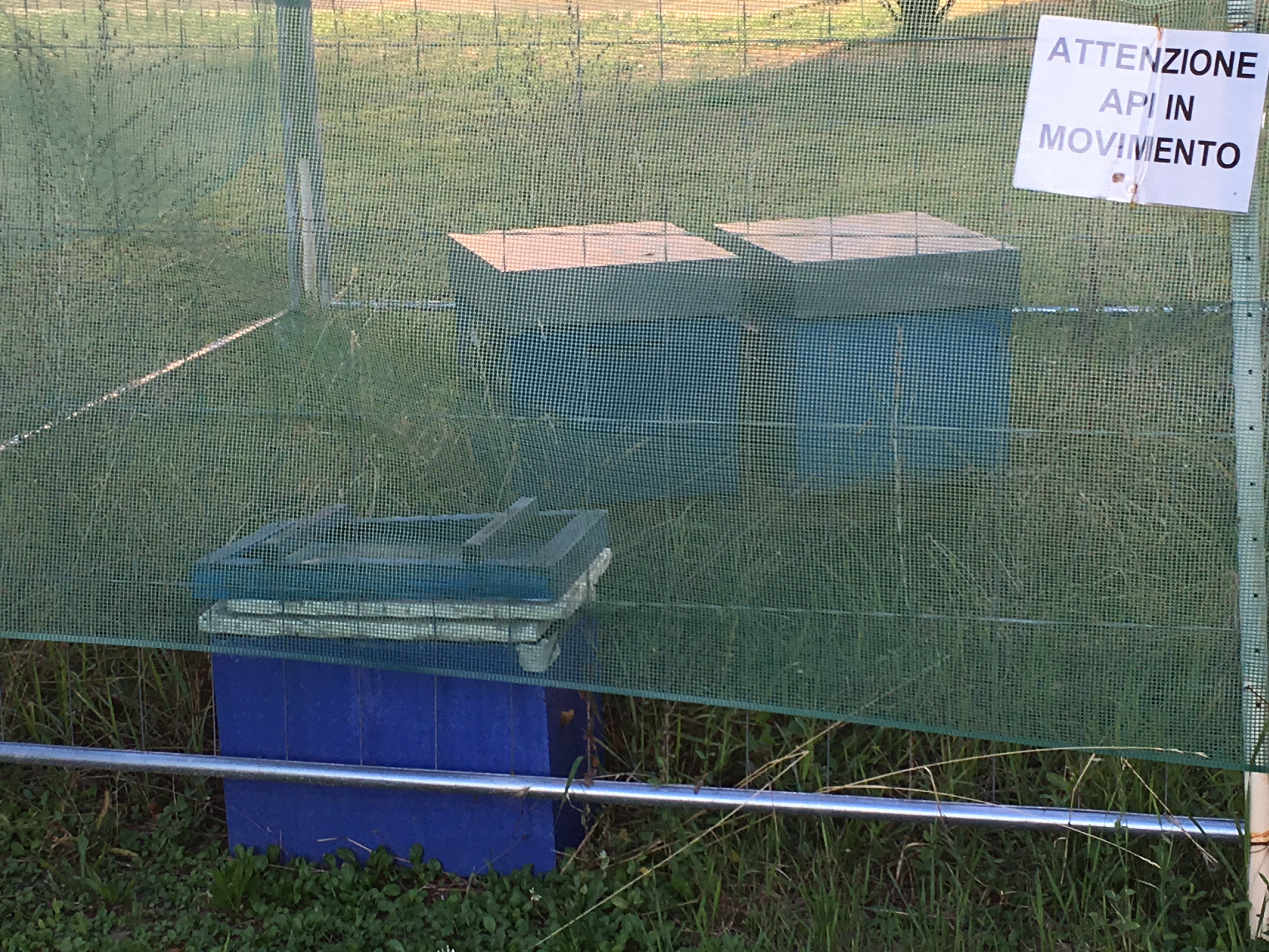 Le api per il biomonitoraggio ambientale anche al Castello di Tortona