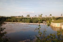 “Arbusti ostruiscono ponte”: cittadino preoccupato per Castelnuovo B.