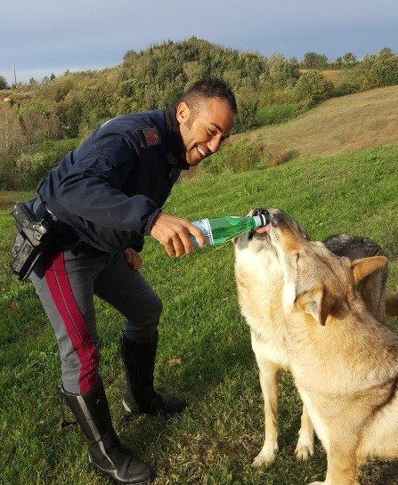 Polizia Stradale salva “cani in fuga” sulla strada da Valenza ad Alessandria