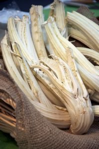 Bagna cauda ricetta tradizionale - cardo gobbo