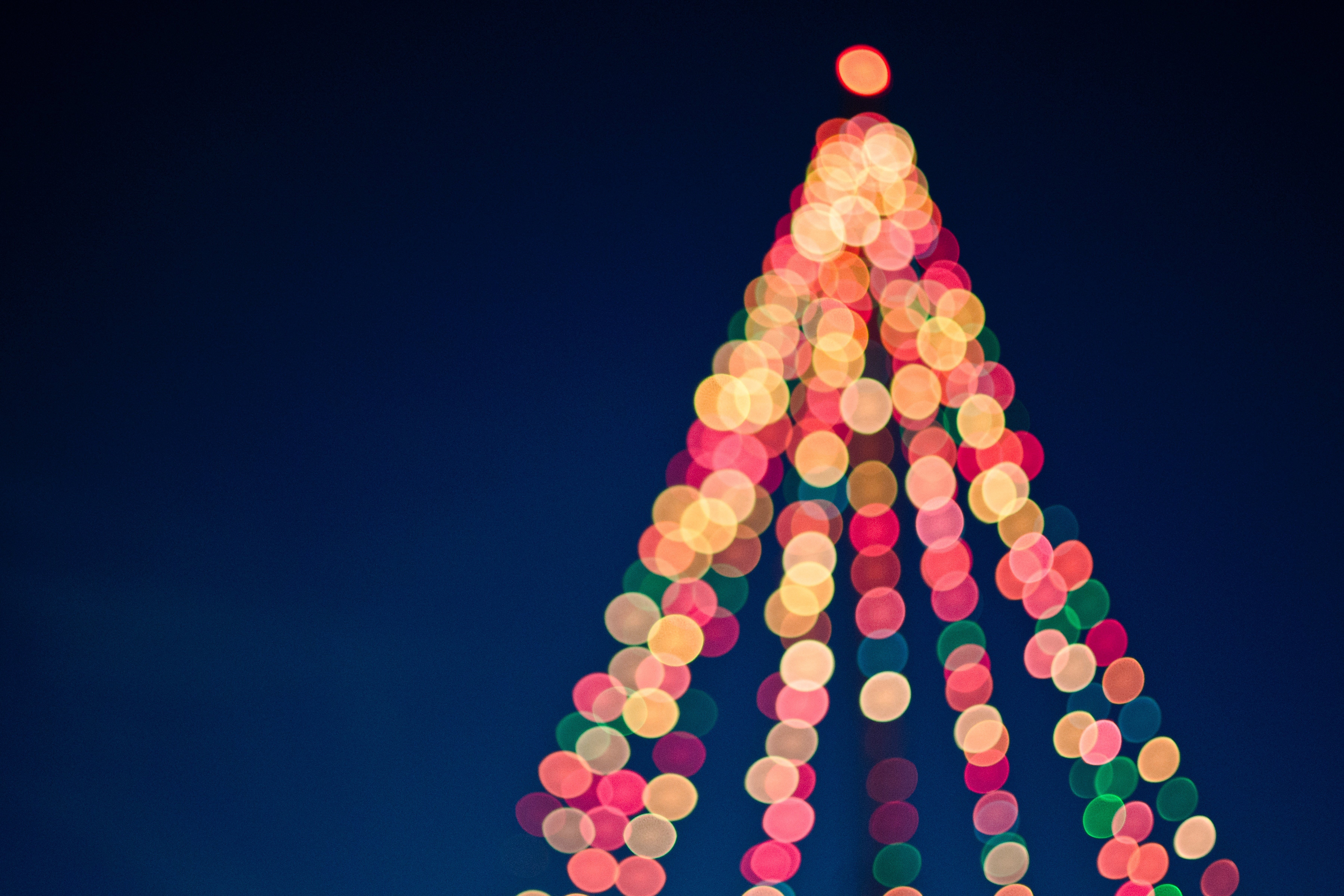 Natale a Valenza con un abete in piazza Gramsci, tre presepi e cinque coni luminosi