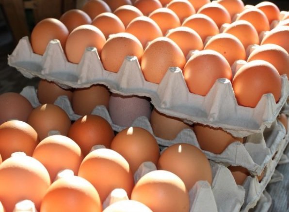 Nas di Alessandria sequestrano 300 mila uova con etichette contraffatte