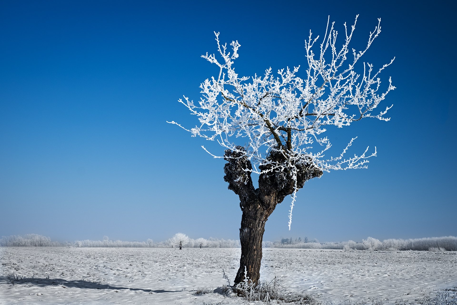 Condizioni meteo in peggioramento: torna la neve in Piemonte