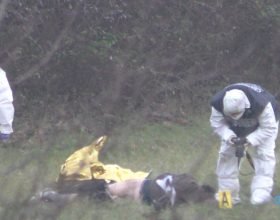 Trovato morto in un campo a Ovada: ipotesi omicidio