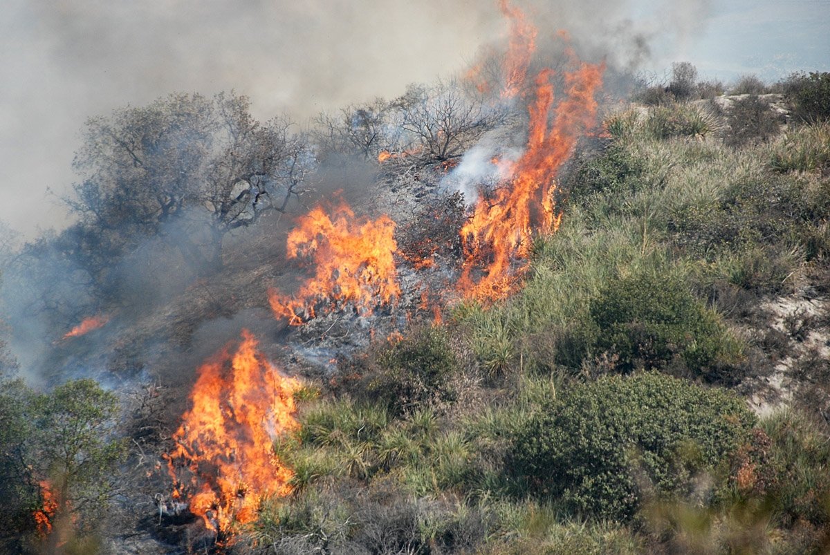 In Piemonte è allerta massima incendi boschivi: vietata la combustione dei residui vegetali