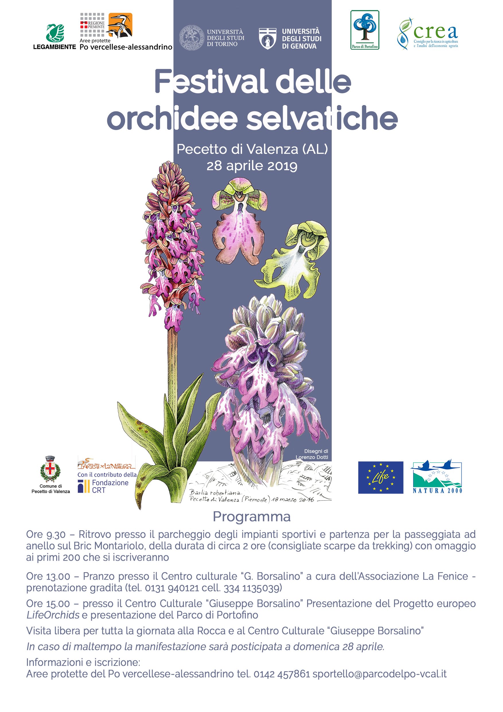 Festival orchidee selvatiche a Pecetto 2019