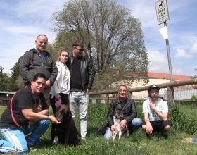 Piazza Villa: finalmente lo sfalcio, resta problema area cani e sicurezza