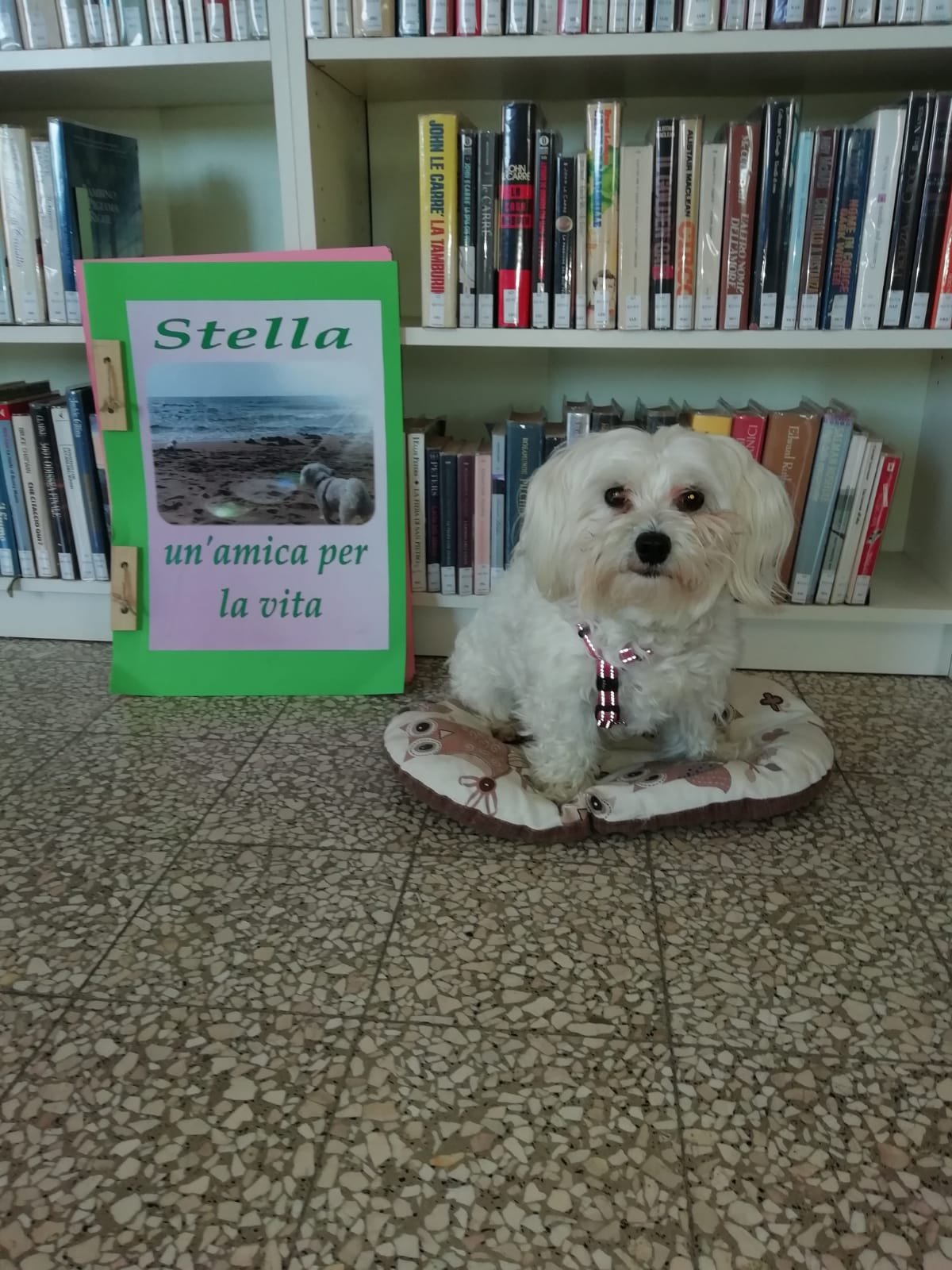 Il cane Stella entra in Biblioteca a Fubine per avvicinare i bambini alla lettura