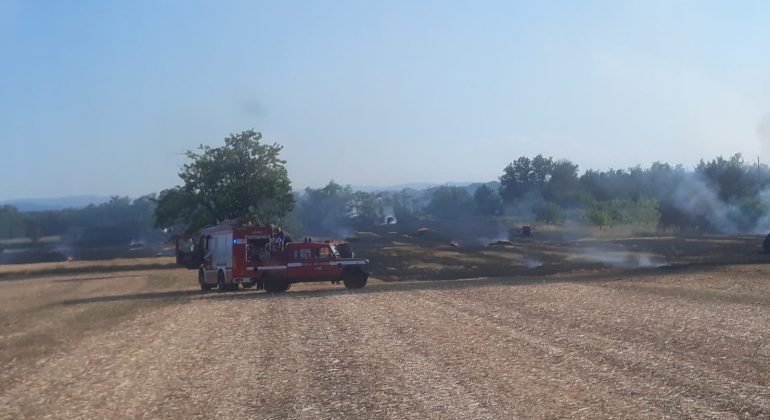 Incendio di un campo lungo la provinciale 157 Pasturana-Basaluzzo