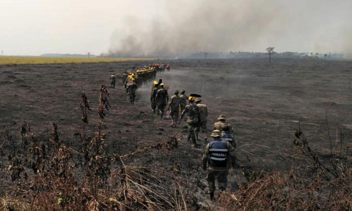 Incendi in Amazzonia: Confagricoltura favorevole a blocco carni brasiliane
