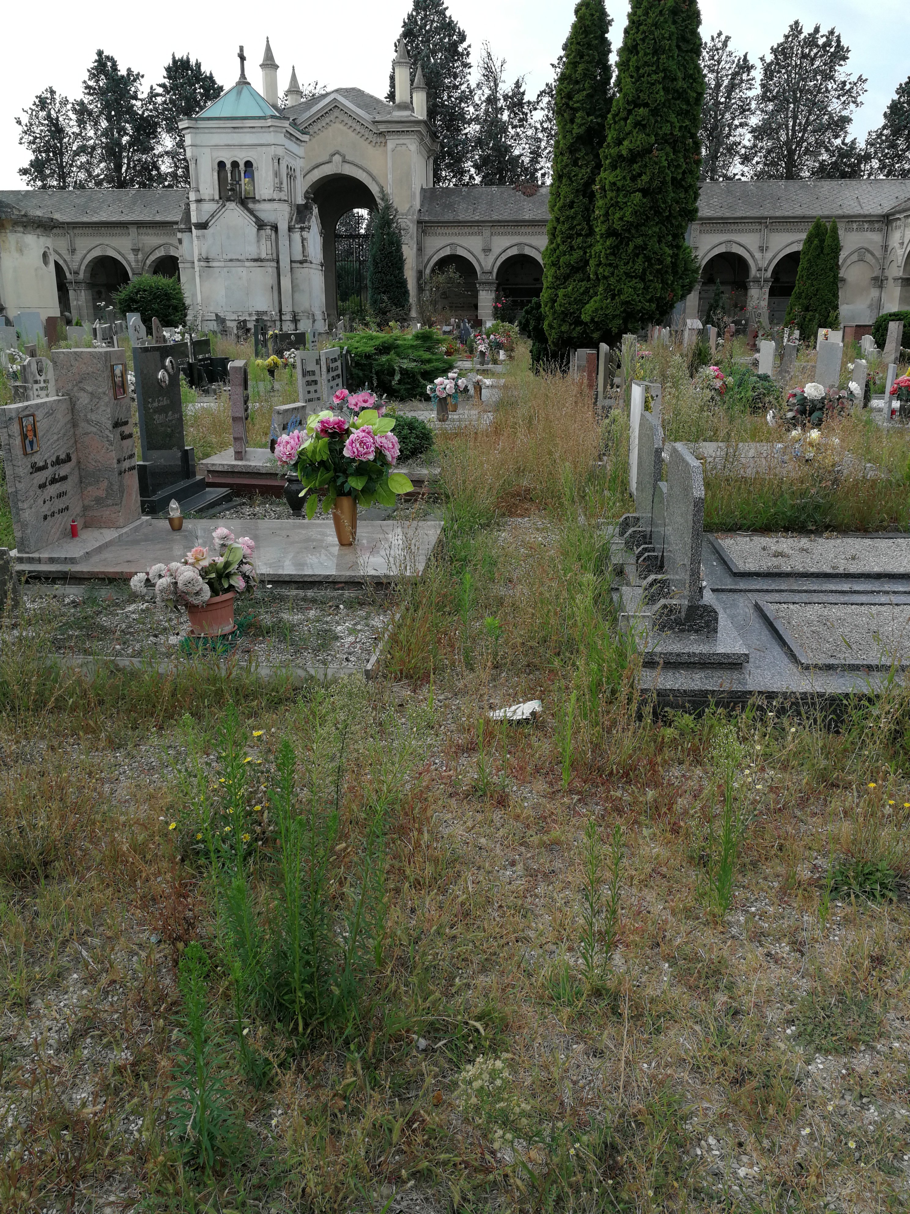 Erbacce cimitero Alessandria: “Dal teleriscaldamento i fondi per sfalcio”