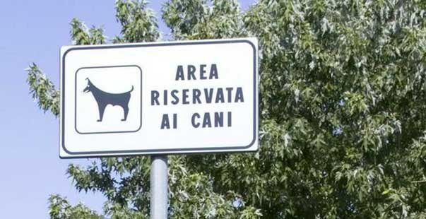 Area cani a Spinetta Marengo: nessun pericolo rilevato