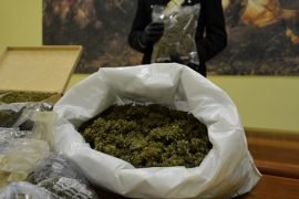 Coltivava marijuana in una serra, 64enne sorpreso con 25 chili d’erba