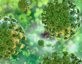 Coronavirus: 13 domande alla virologa e microbiologa Marisa Gariglio