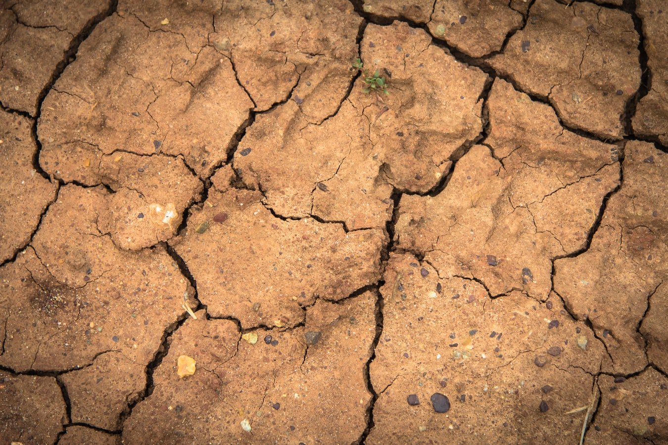 Prosegue la siccità in Piemonte e dalla prossima settimane temperature in rialzo