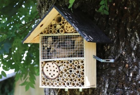 Lo spettacolo della natura in piccoli alberghi: Amag promuove i Bee Hotels