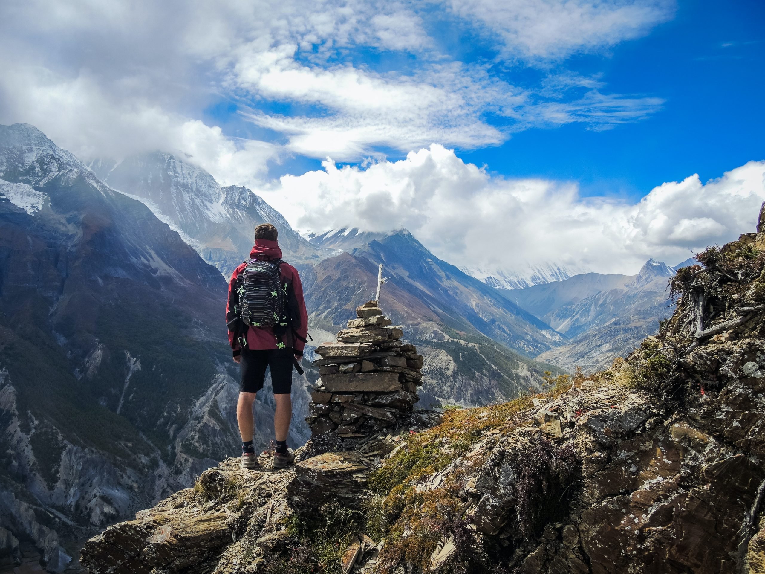 Nuove limitazioni contro peste suina: stop anche a trekking, pesca e mountain bike